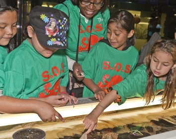 Santa Monica Pier Aquarium Field Trip Touch Tank
